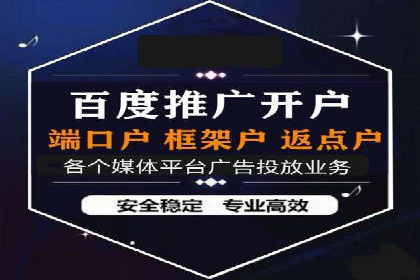 竞价广告策略案例分析